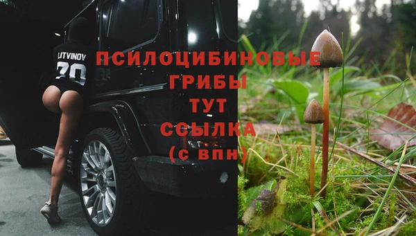 винт Алзамай