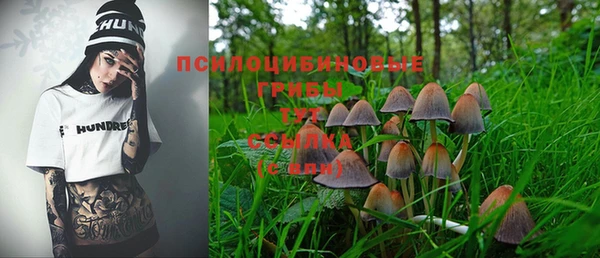 винт Алзамай