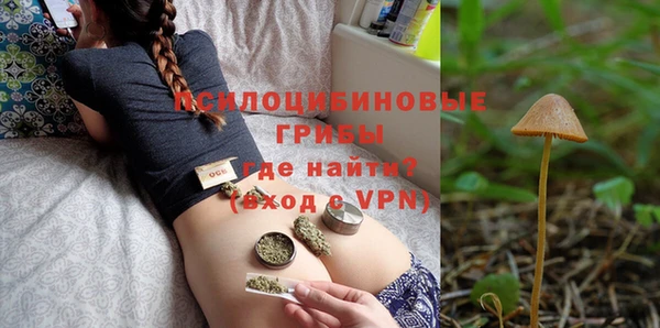 винт Алзамай