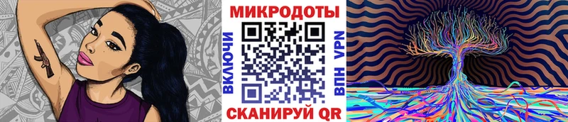 Псилоцибиновые грибы мицелий купить закладку Исилькуль